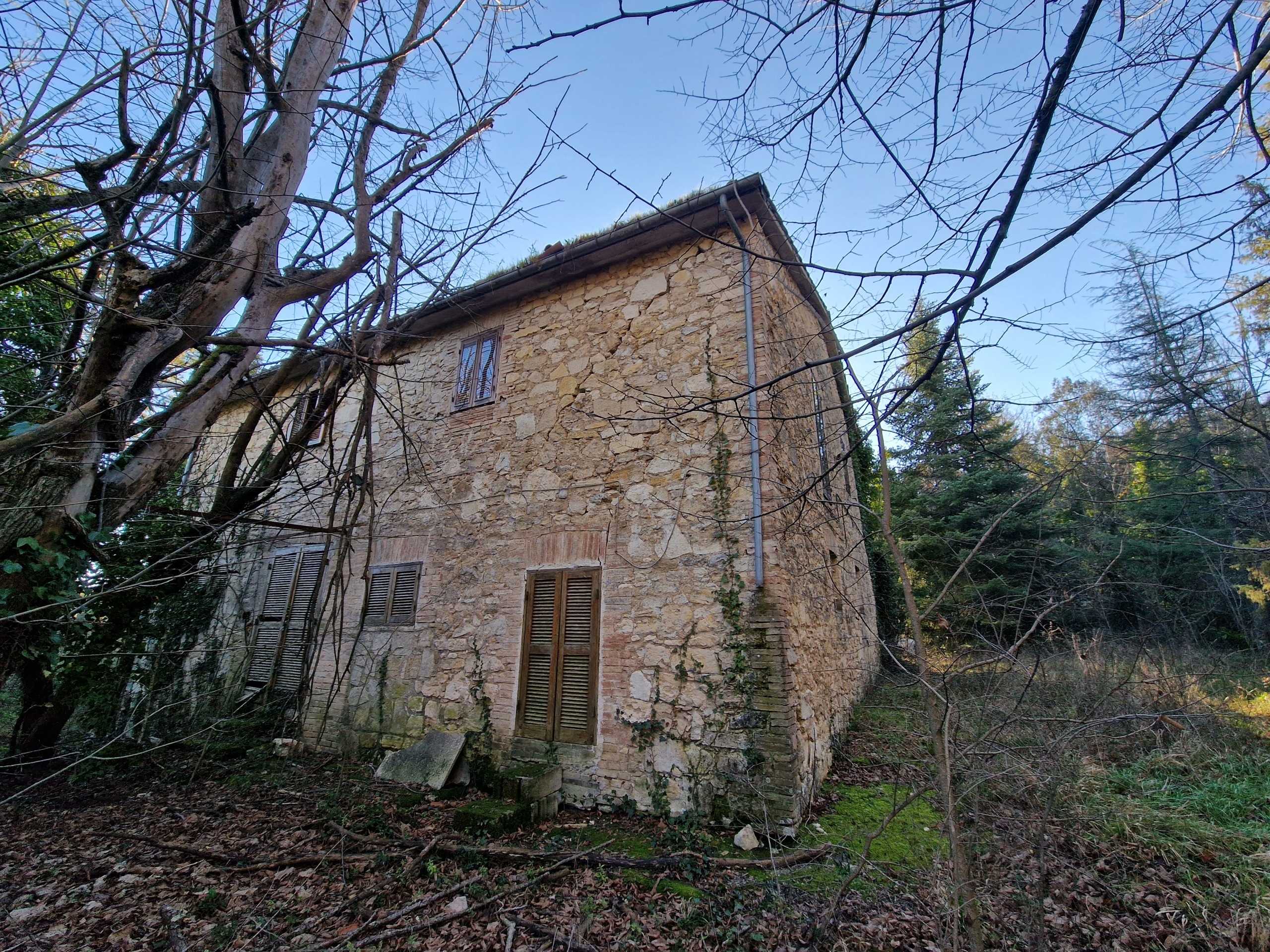  - foto 31