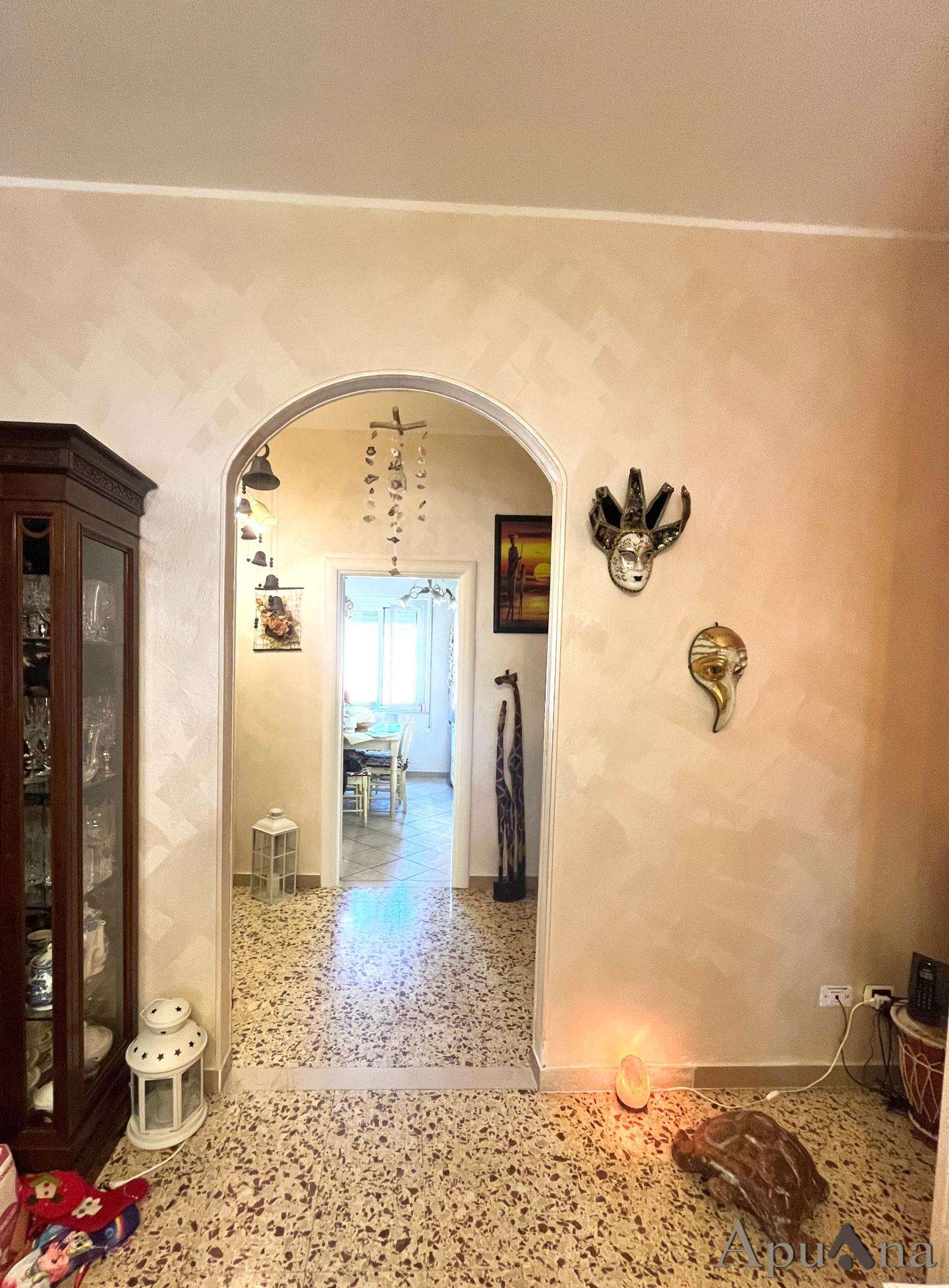 immagine annuncio 9 di 14