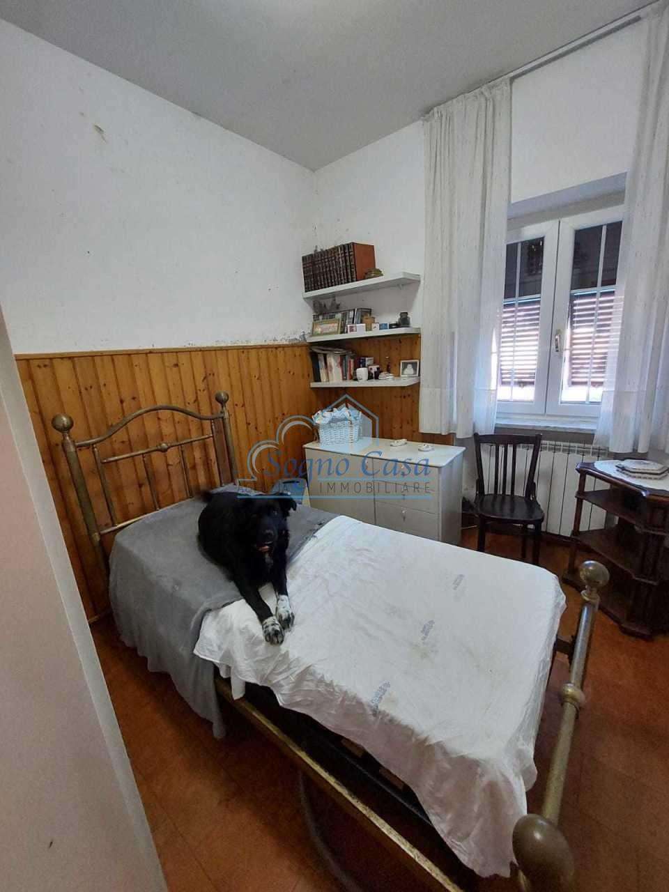  - foto 13