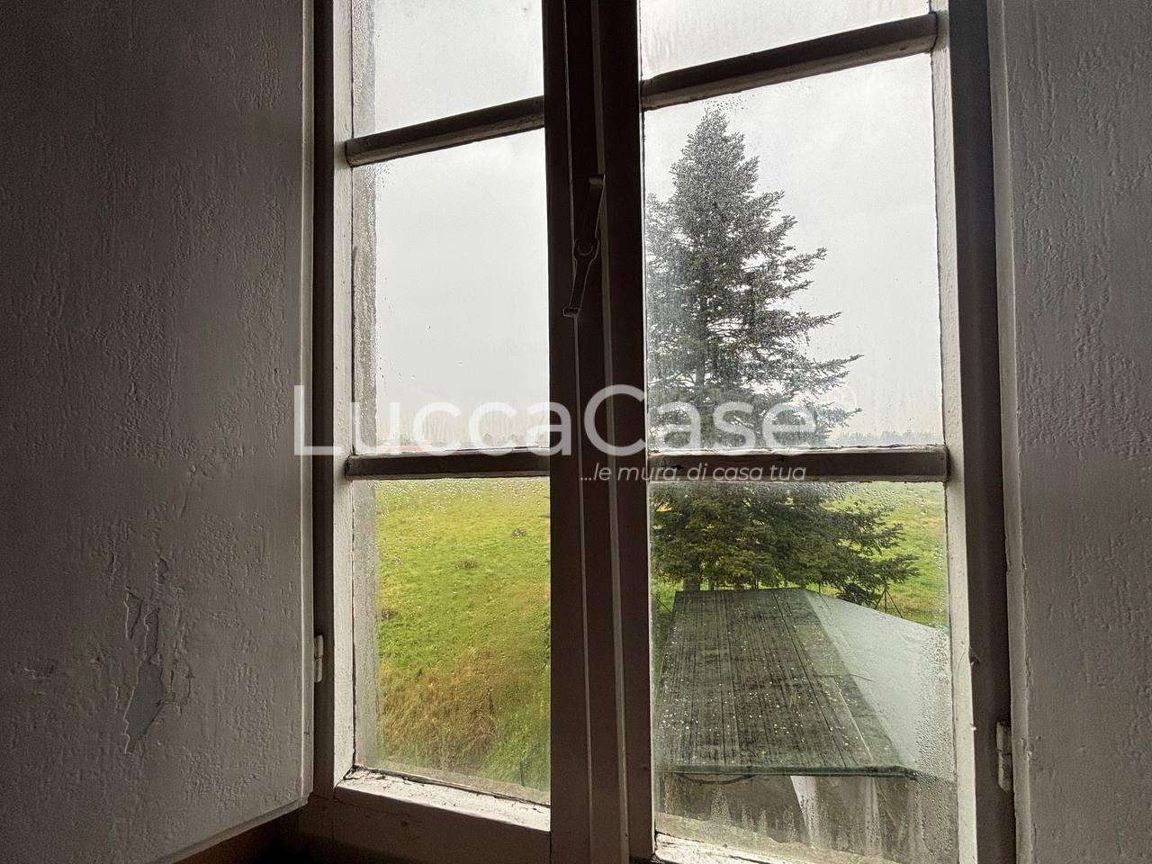  - foto 26