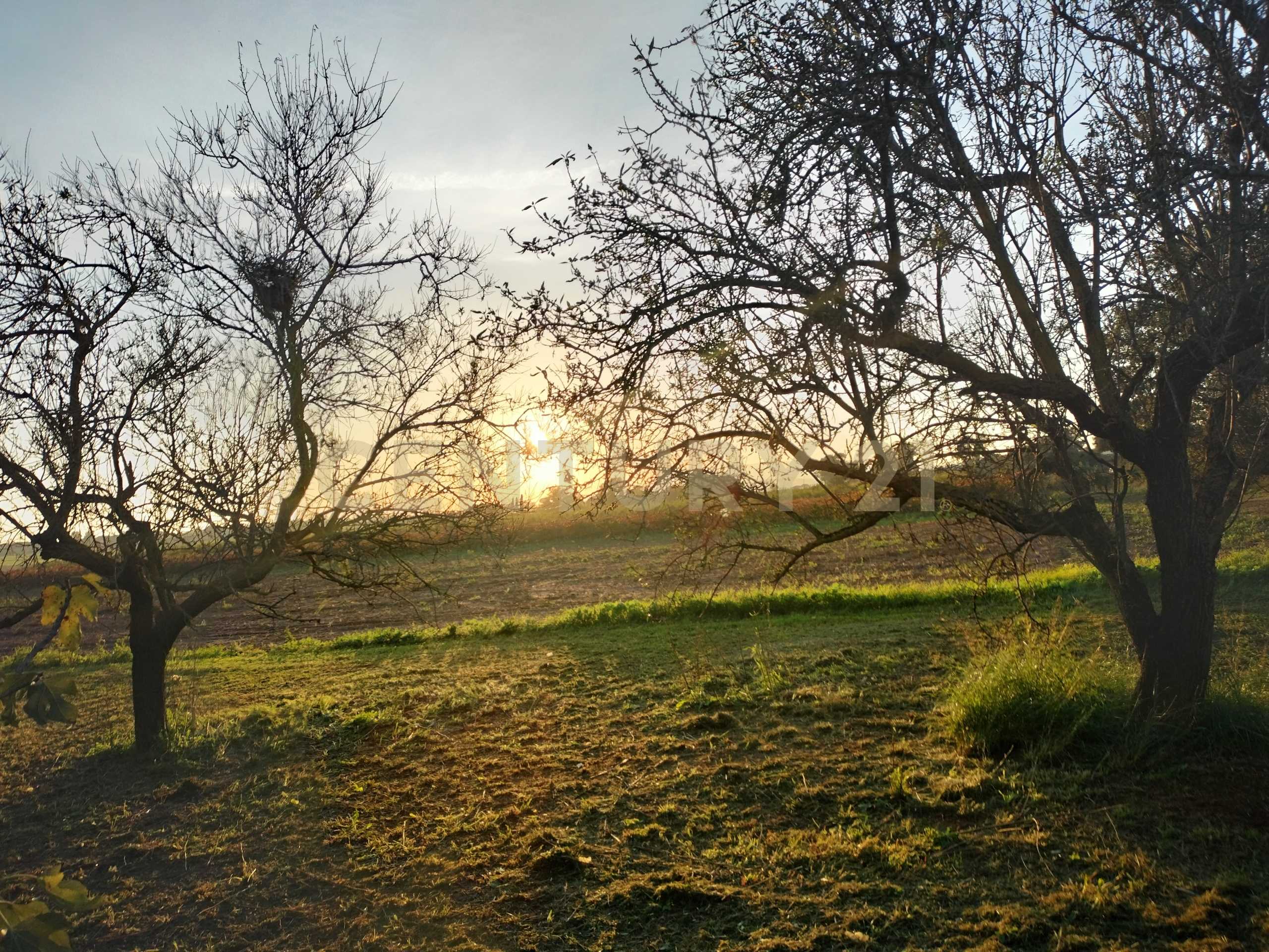  - foto 7