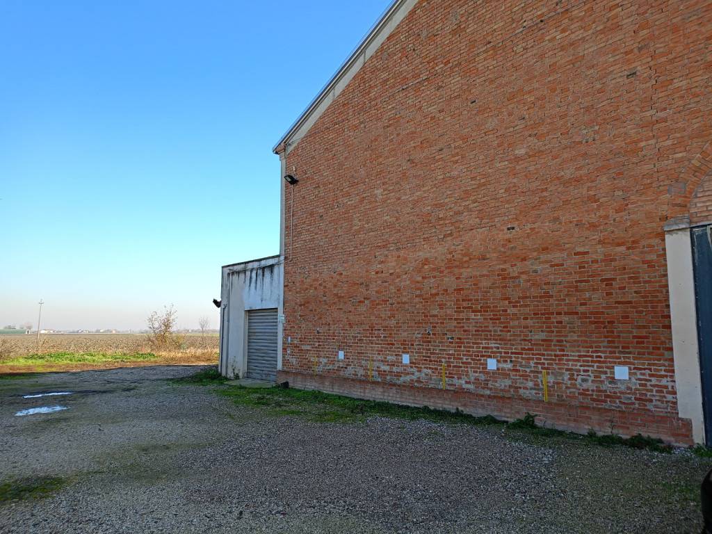 immagine annuncio 5 di 9