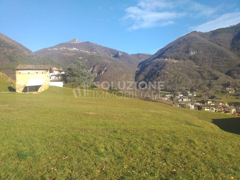 immagine annuncio 3 di 6