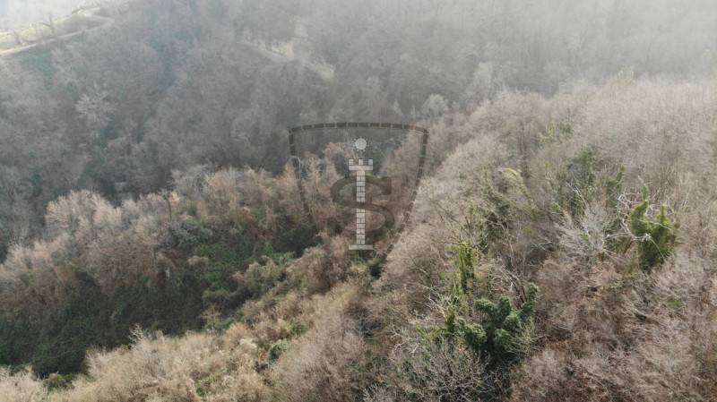 immagine annuncio 3 di 8