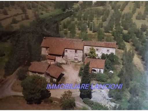  - foto 24