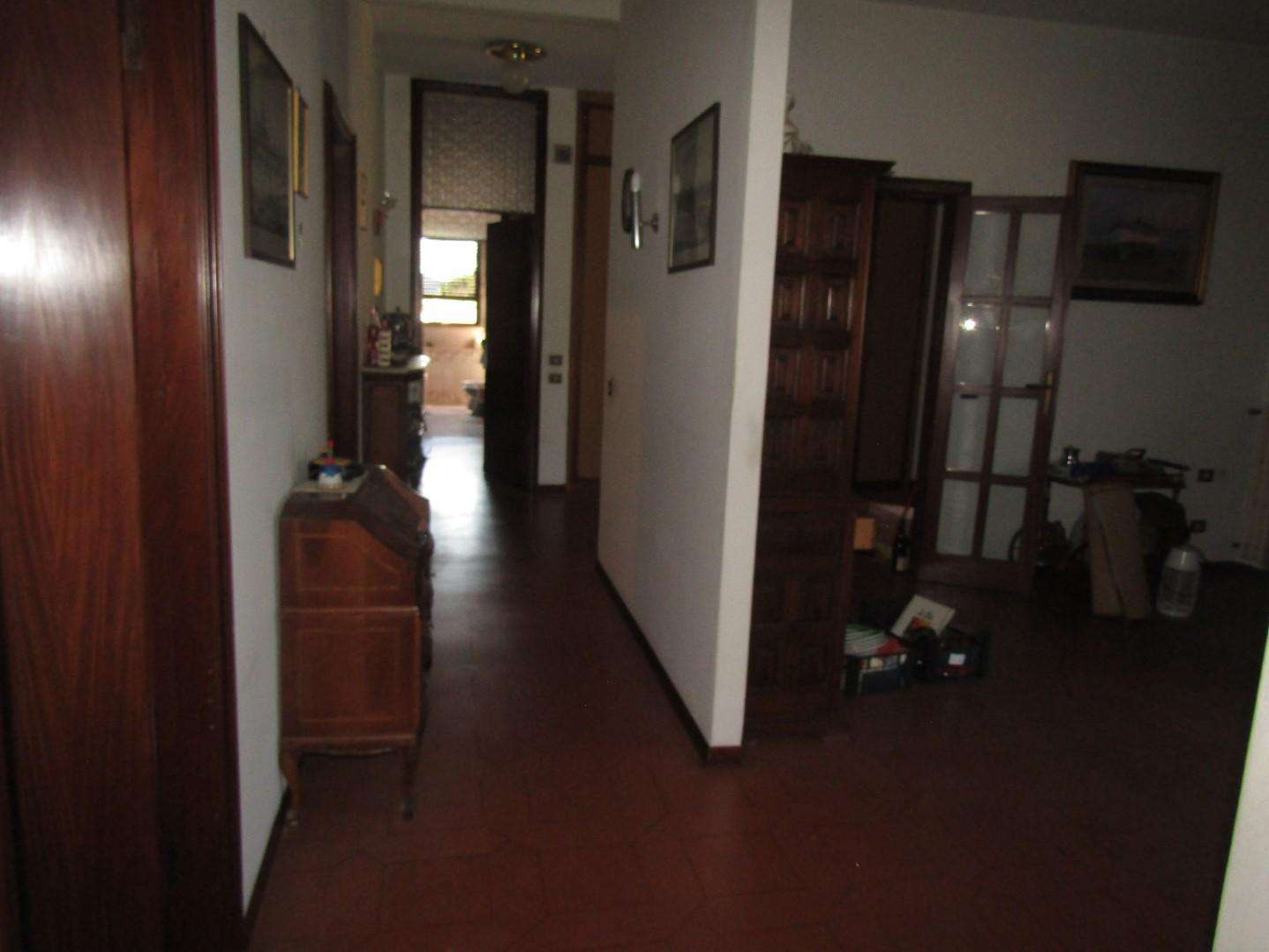  - foto 7