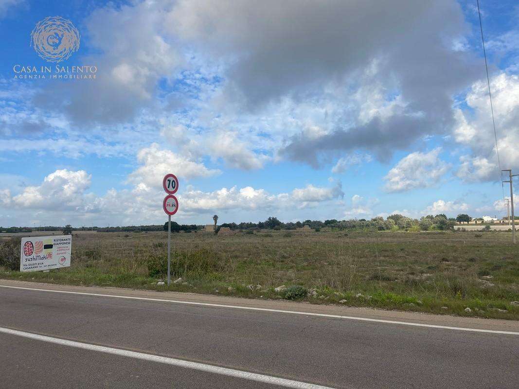  - foto 4