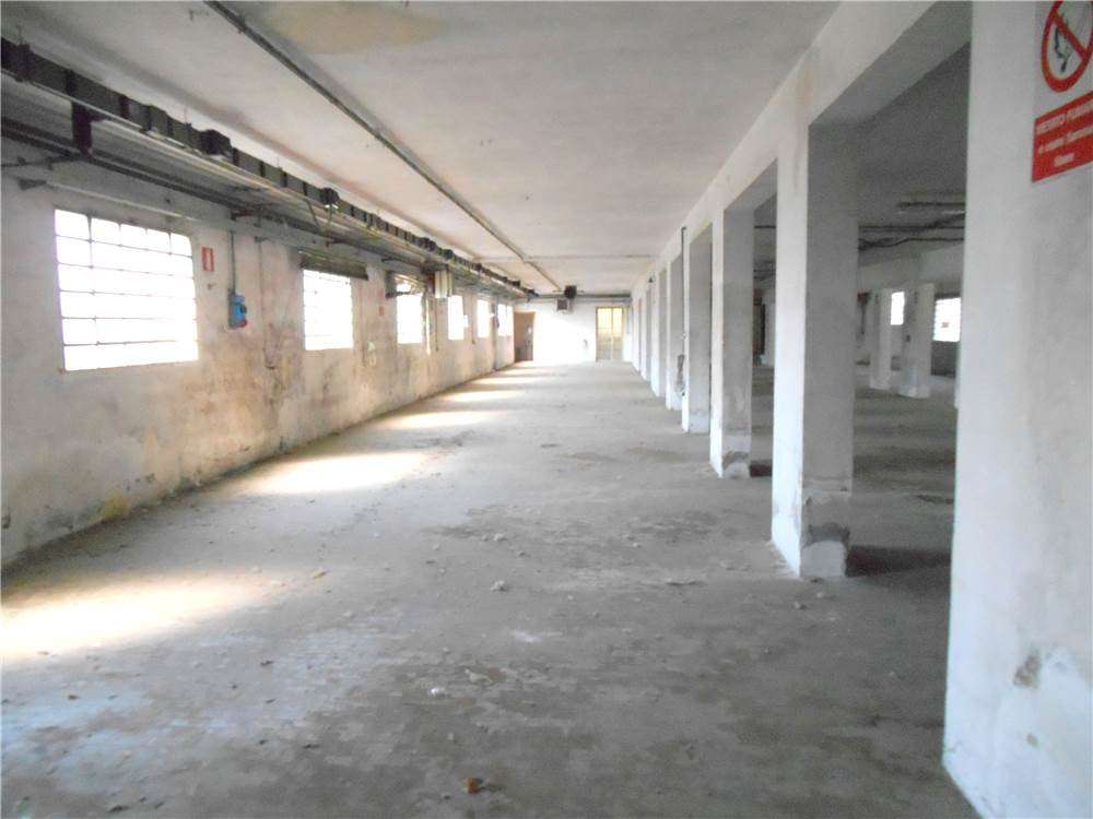  - foto 5