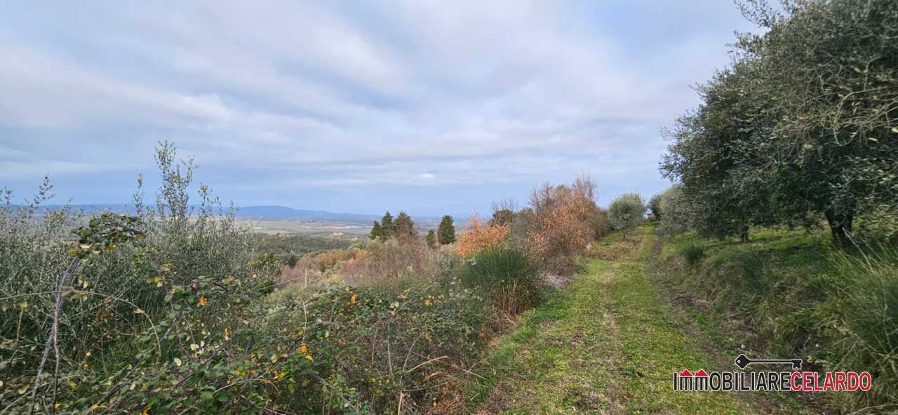 immagine annuncio 2 di 6