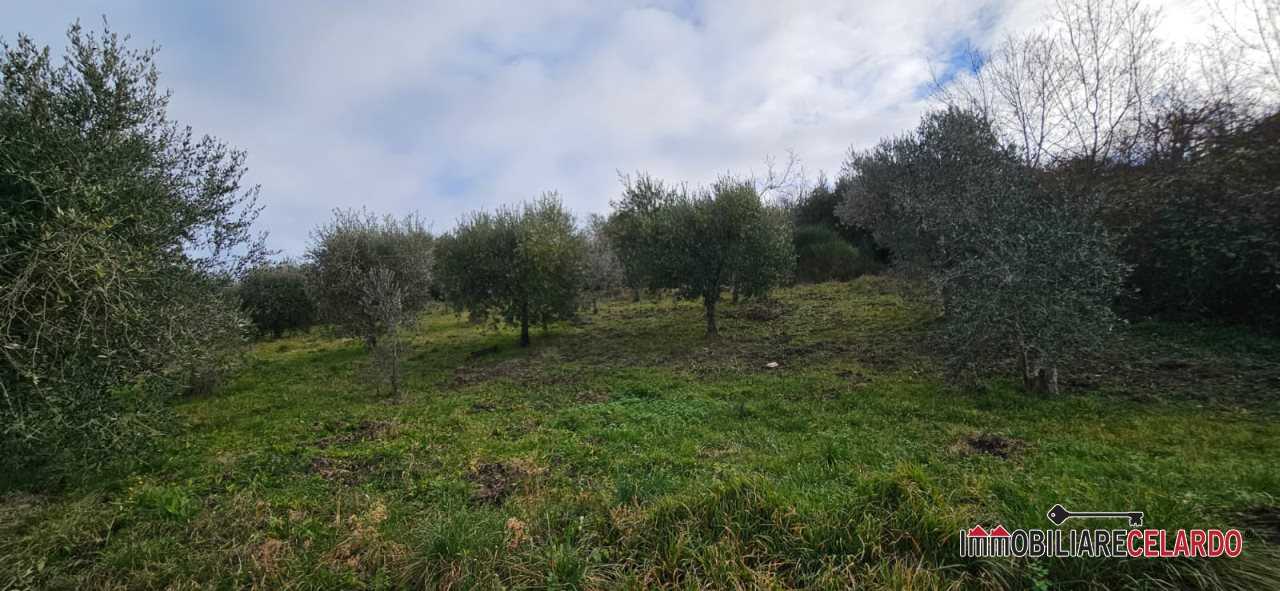 immagine annuncio 4 di 6