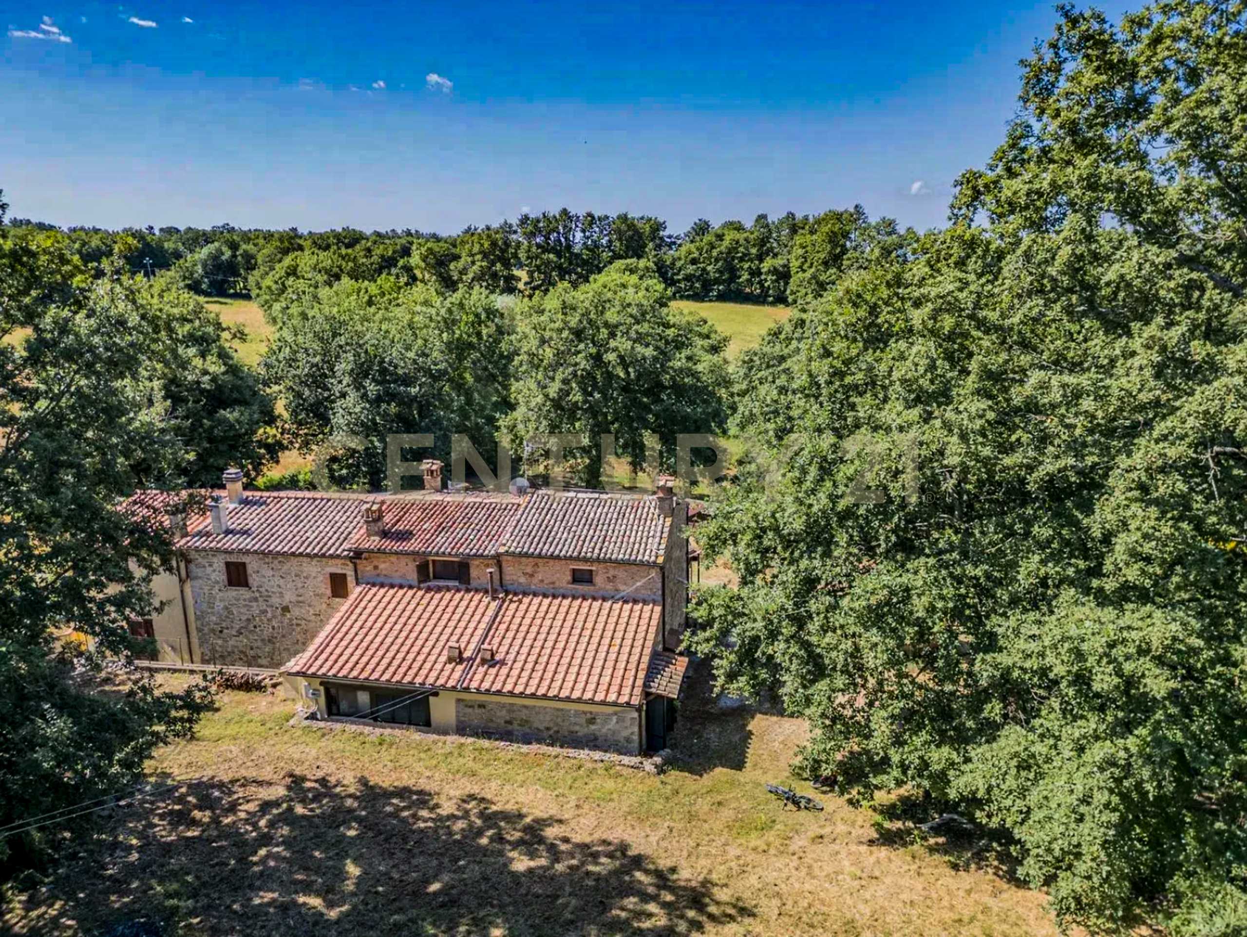  - foto 42