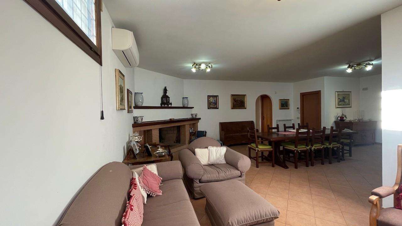  - foto 23