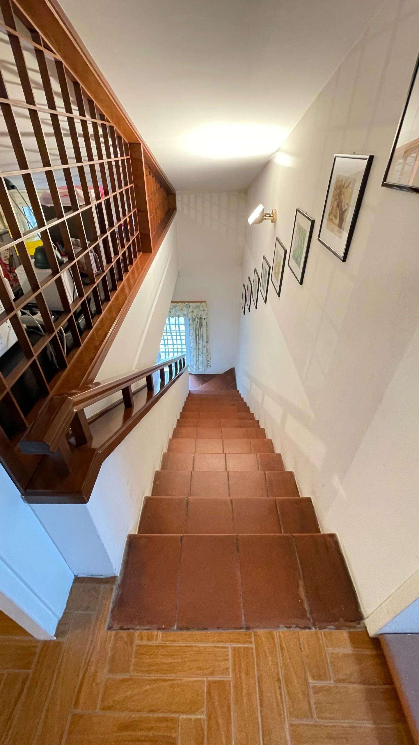  - foto 41