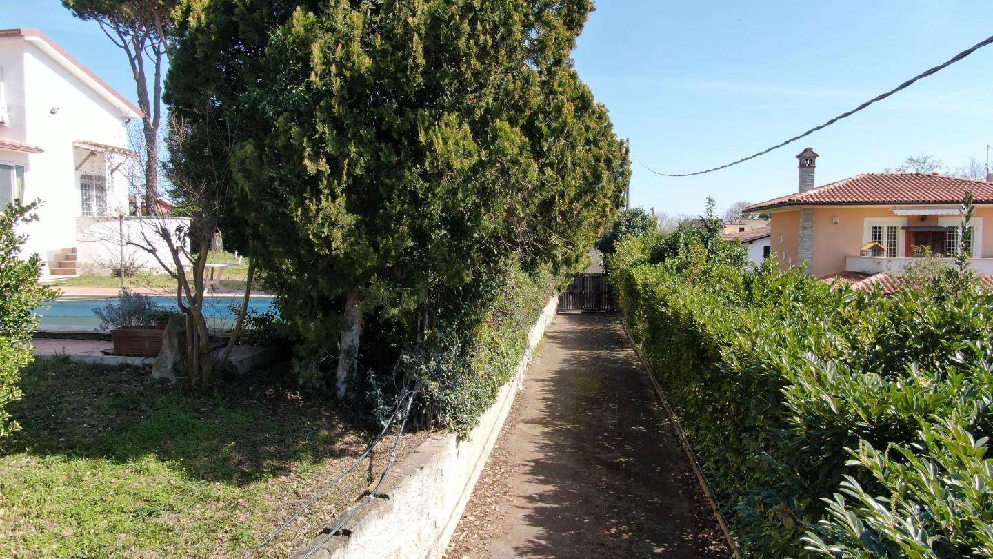  - foto 66