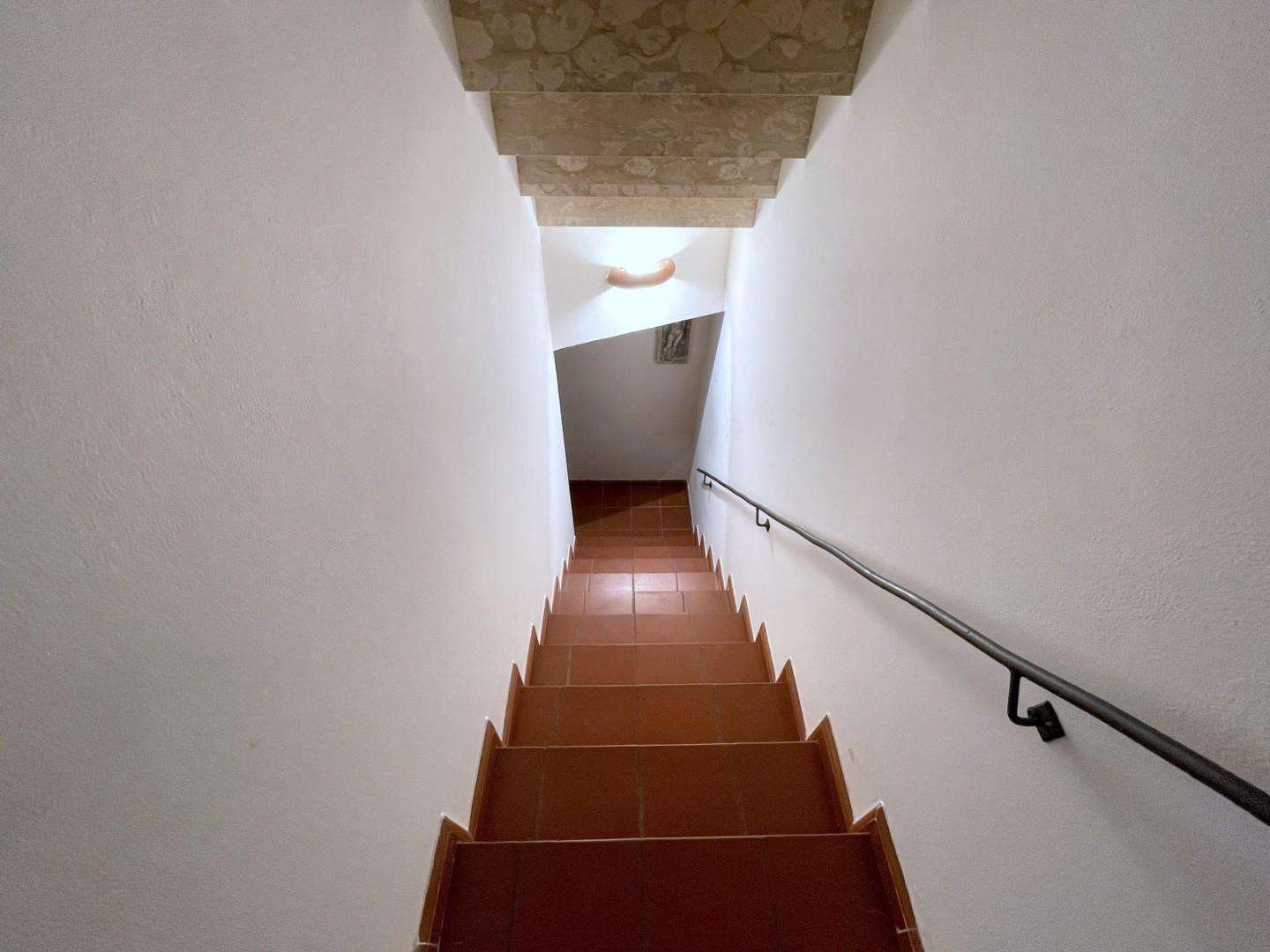  - foto 15