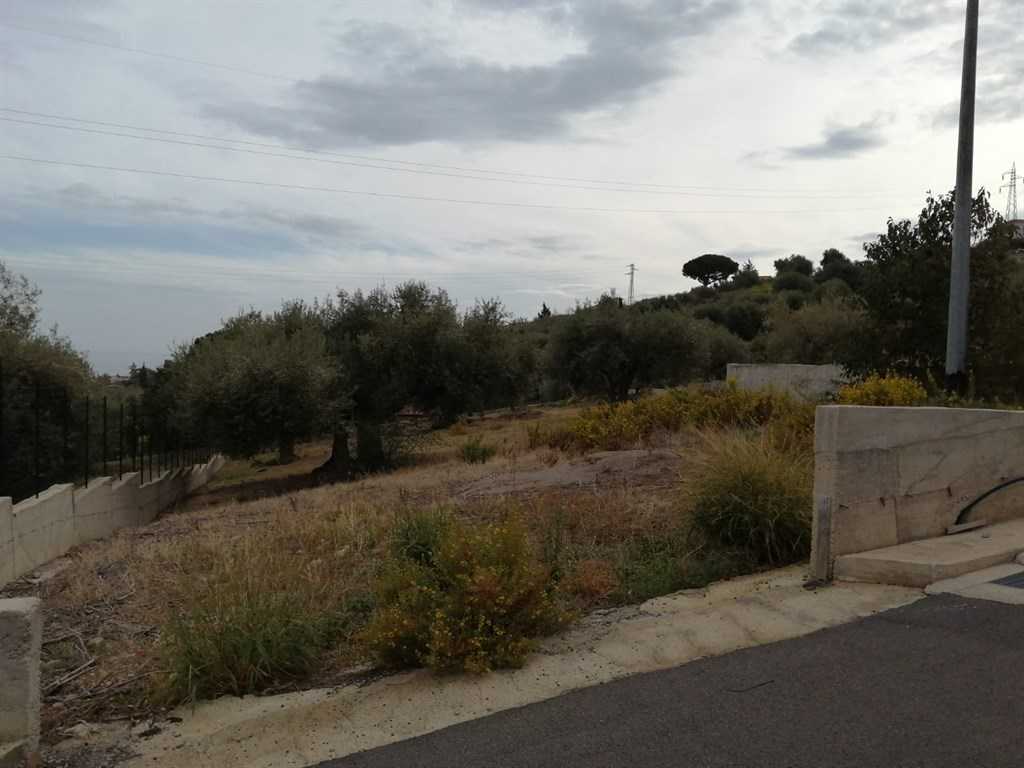 immagine annuncio 1 di 6