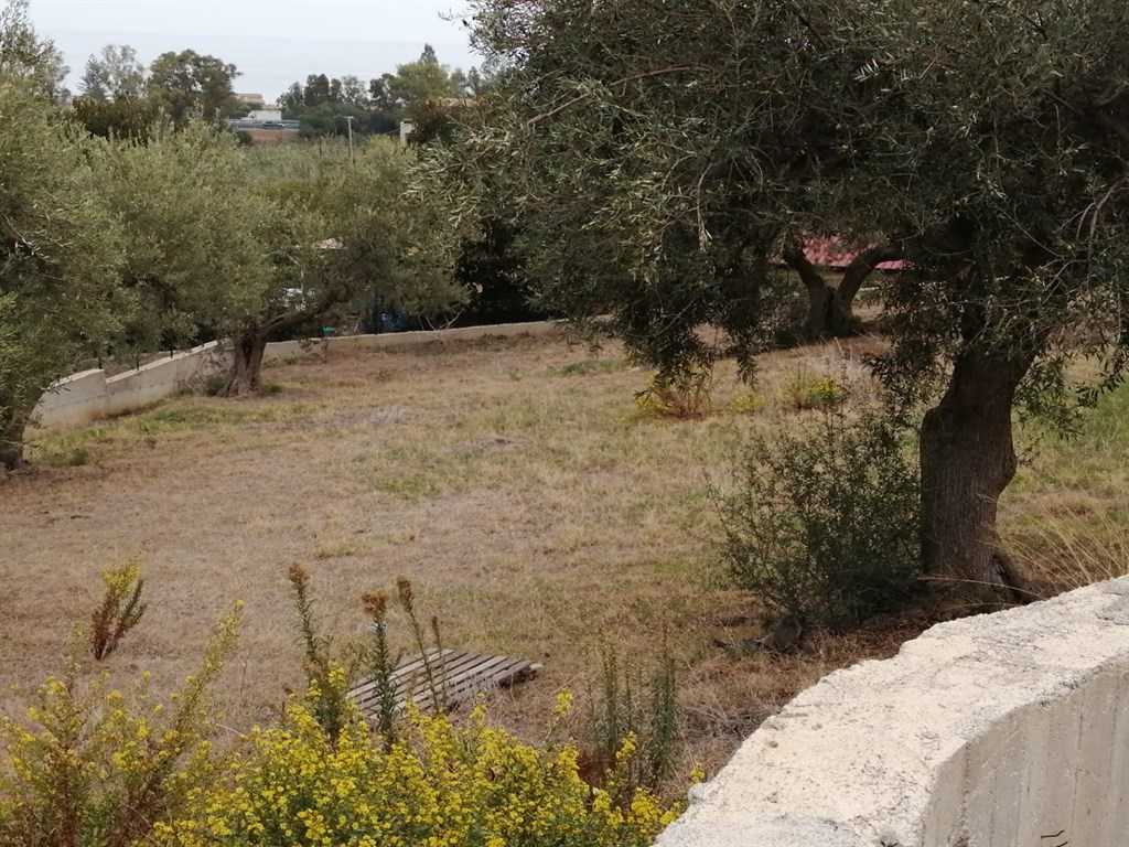 immagine annuncio 2 di 6