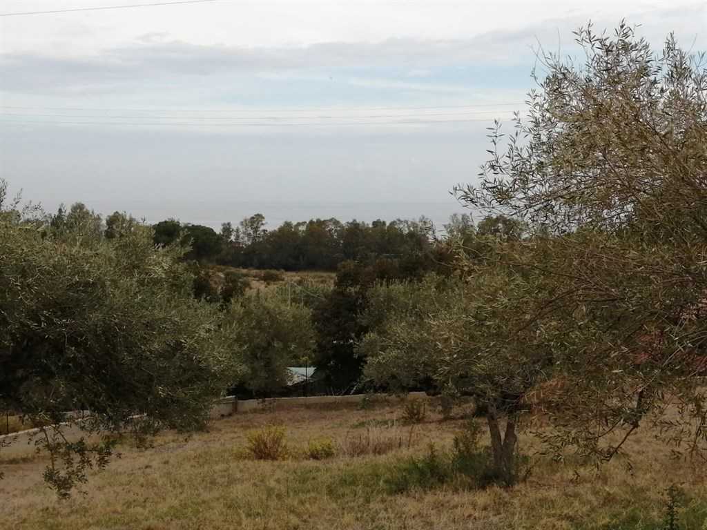 immagine annuncio 3 di 6