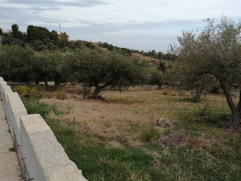 immagine annuncio 4 di 6