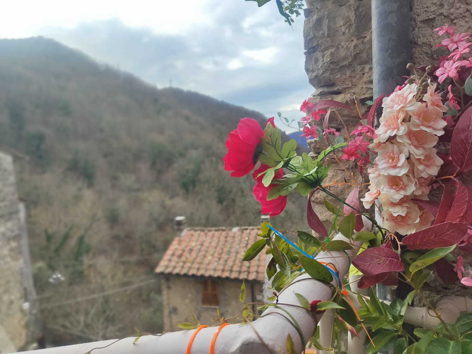  - foto 5