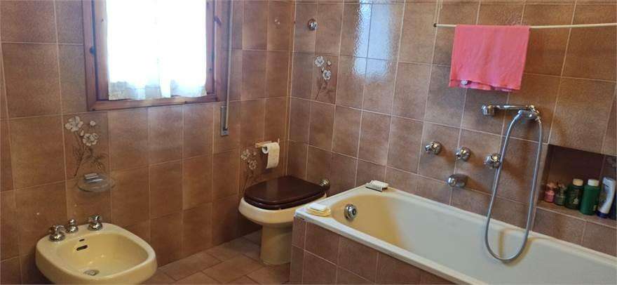  - foto 19