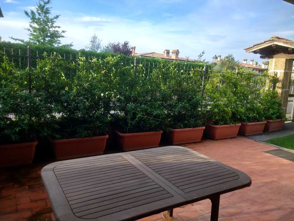 immagine annuncio 6 di 10