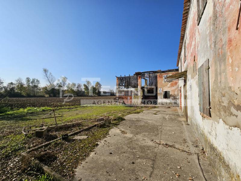 immagine annuncio 3 di 8