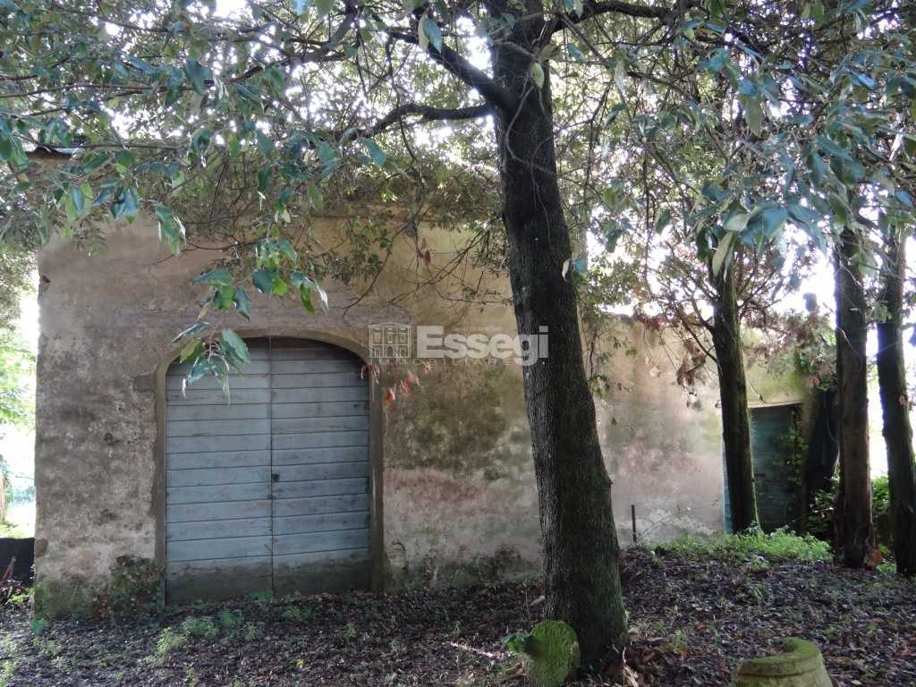  - foto 14