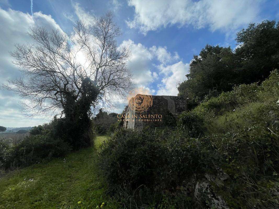  - foto 29