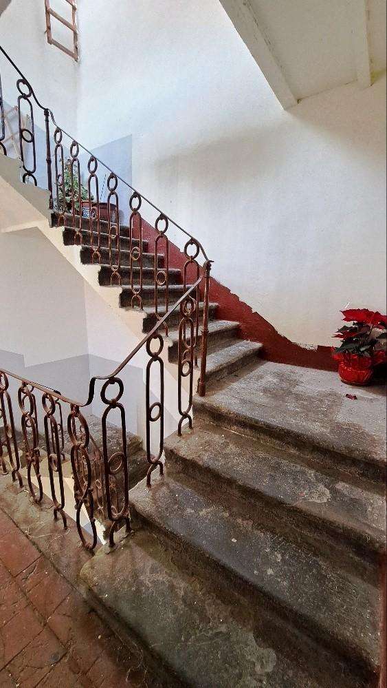 - foto 13