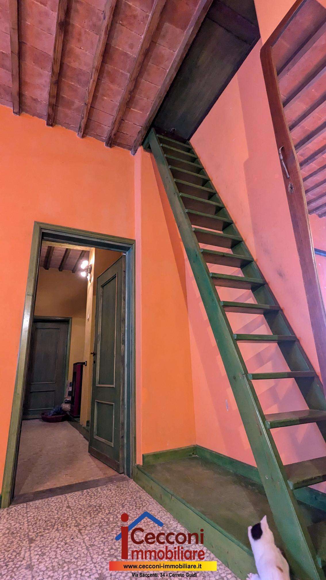  - foto 7