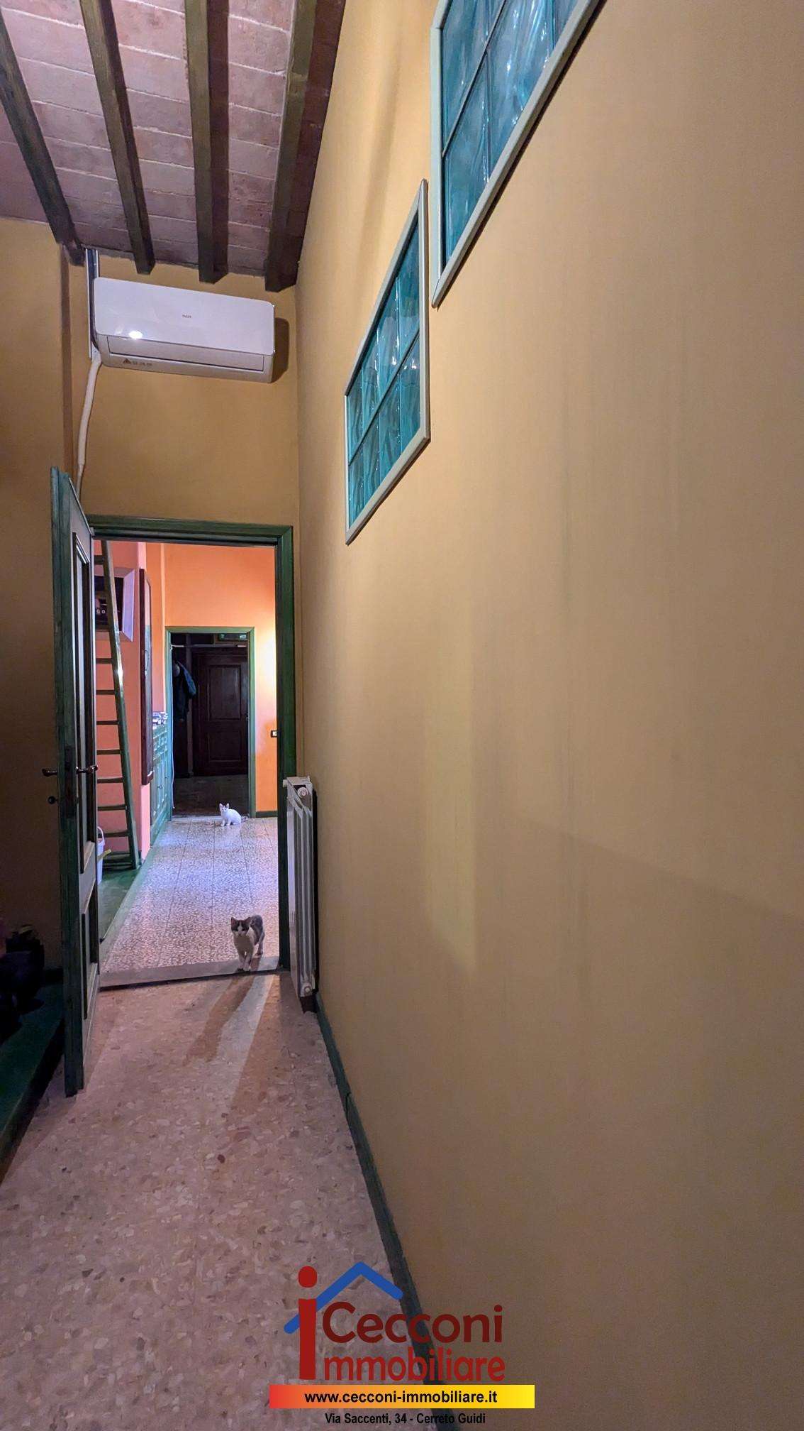  - foto 8