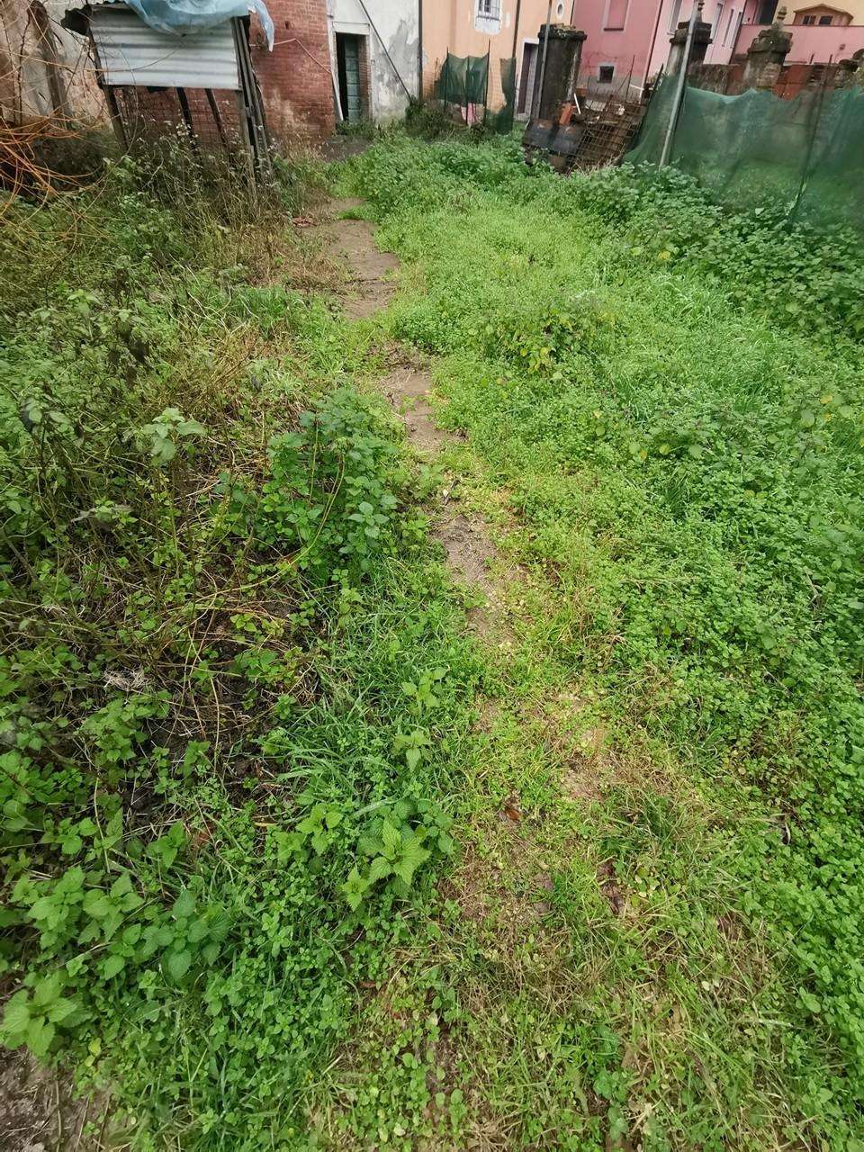  - foto 23
