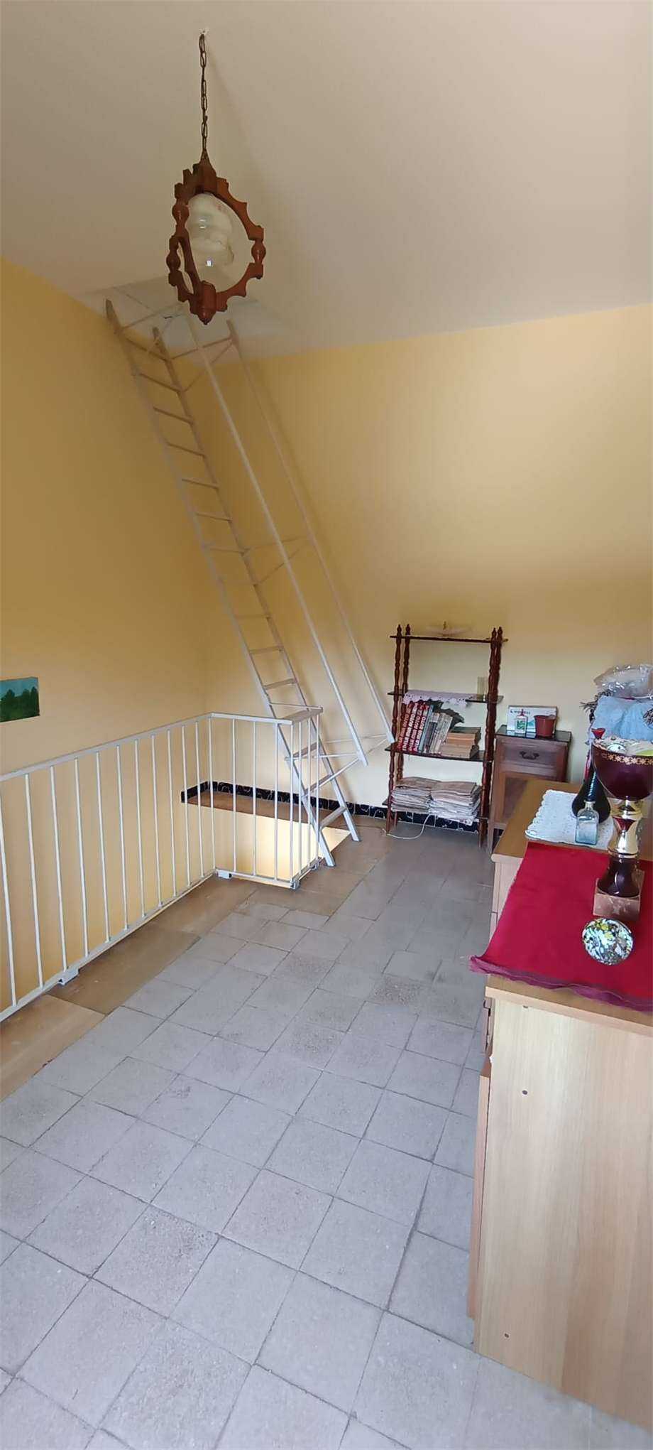  - foto 13