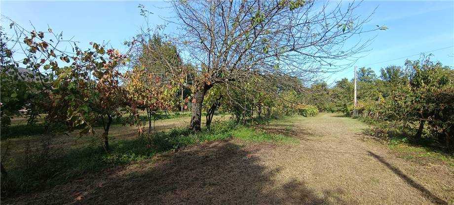  - foto 14