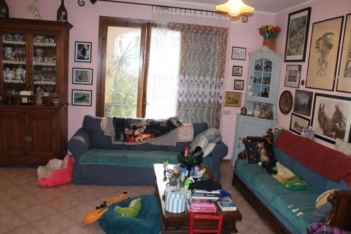  - foto 11