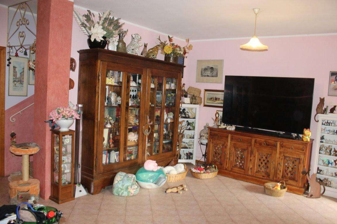  - foto 13