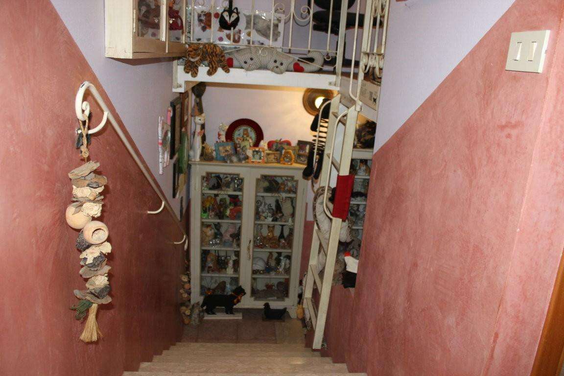  - foto 25