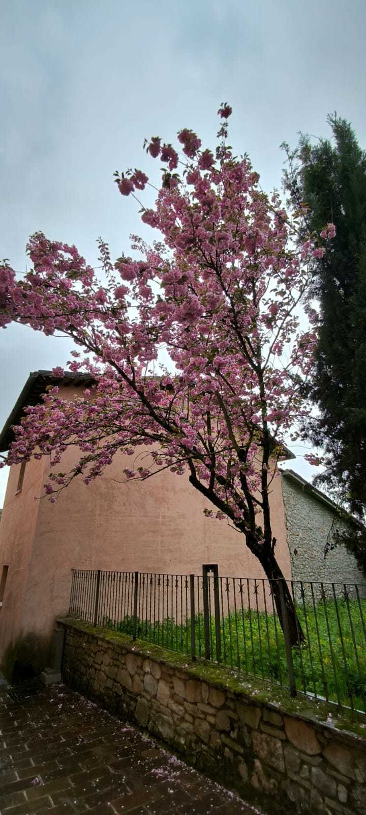  - foto 11