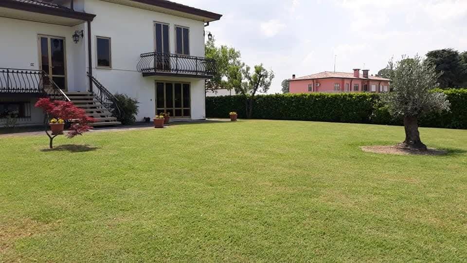 immagine annuncio 4 di 10
