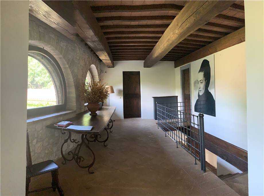  - foto 15