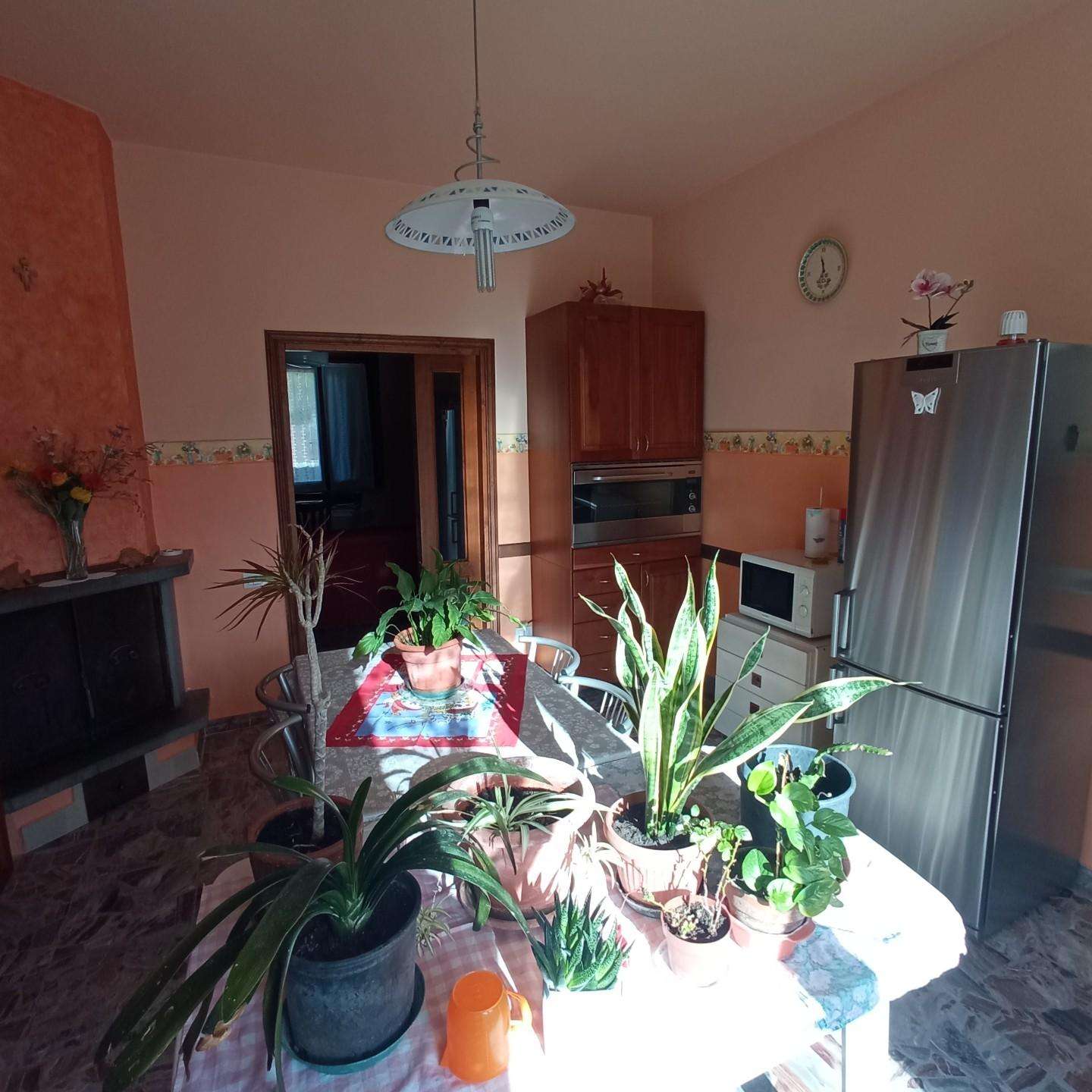  - foto 22
