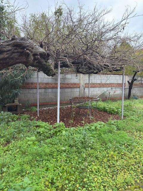  - foto 5