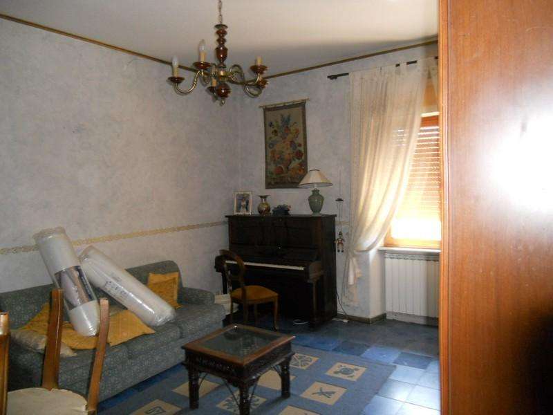  - foto 5