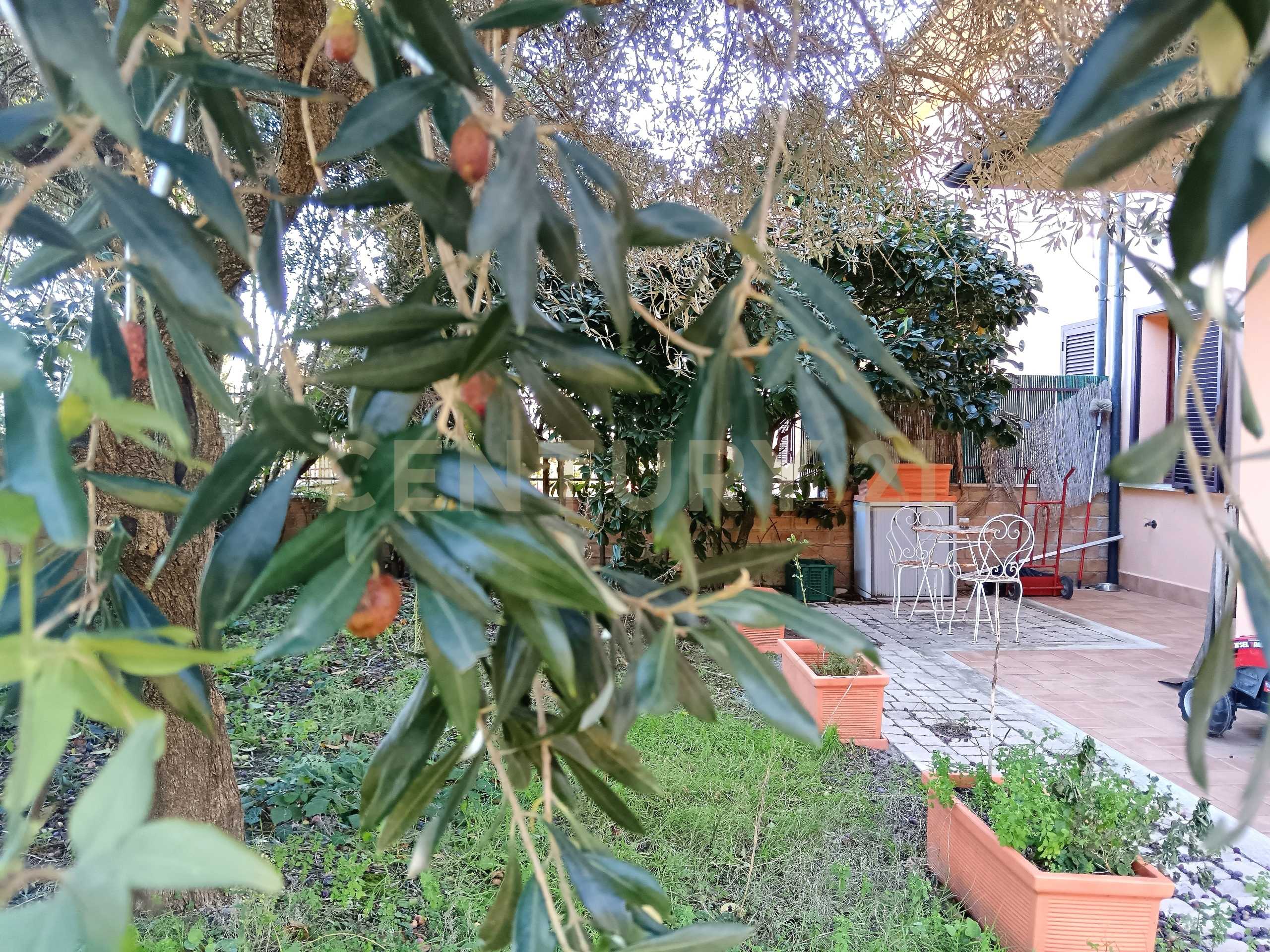  - foto 22