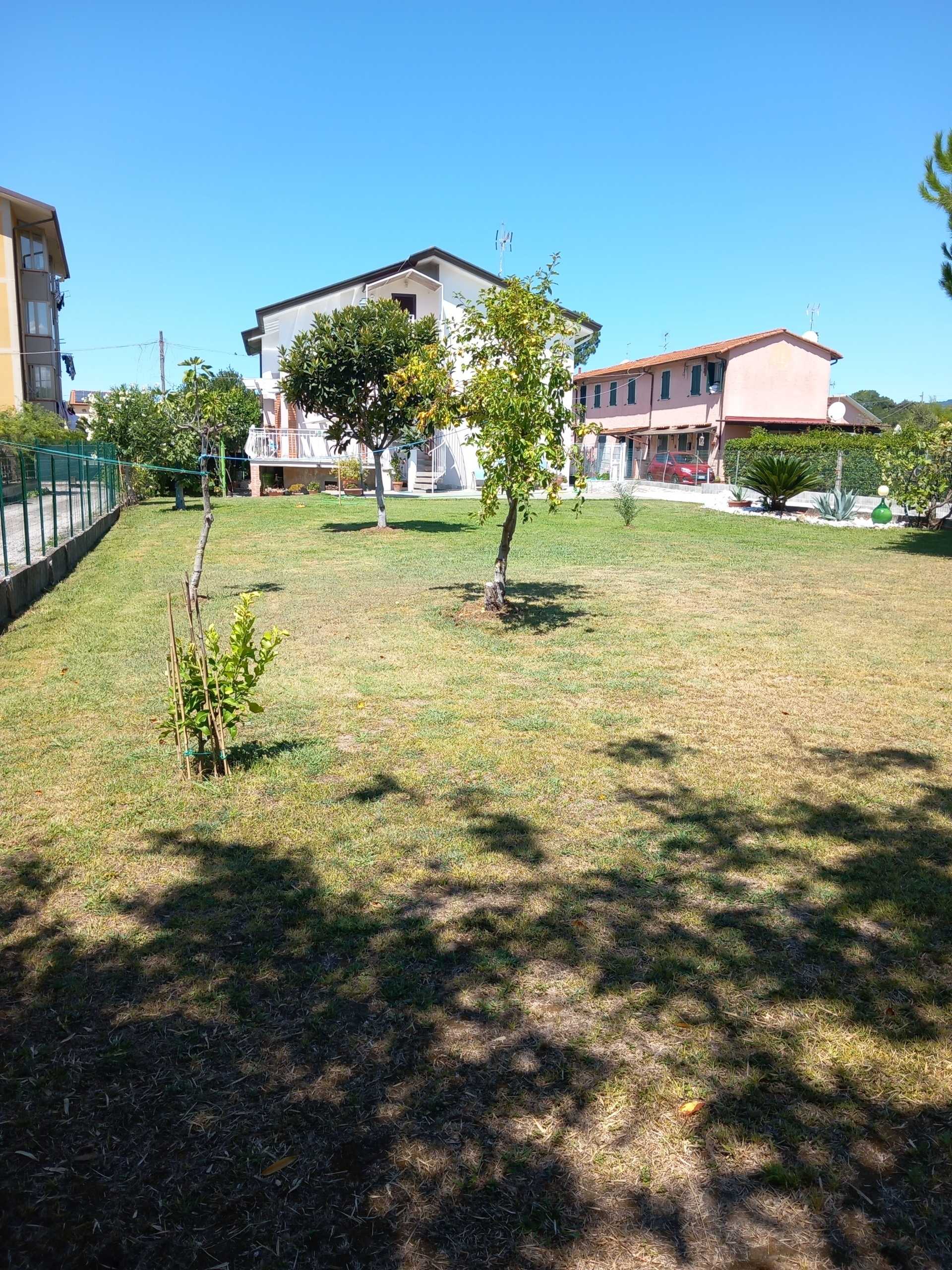 immagine annuncio 1 di 14