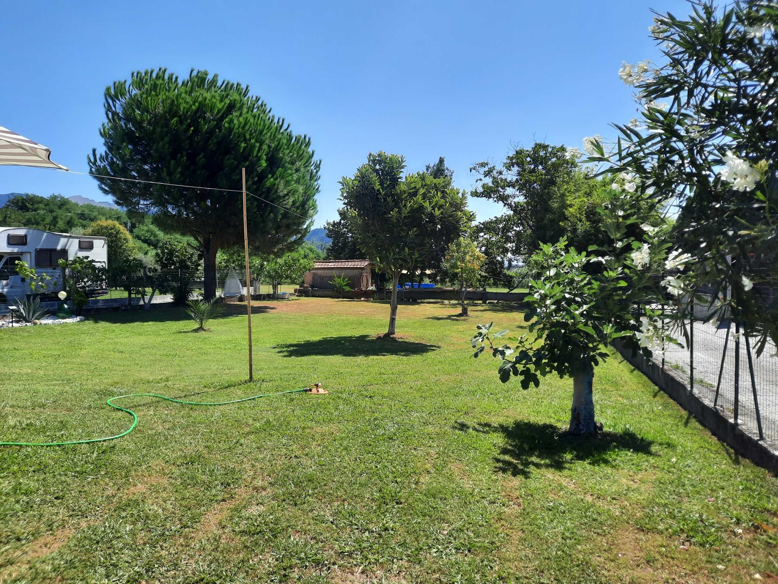 immagine annuncio 7 di 14
