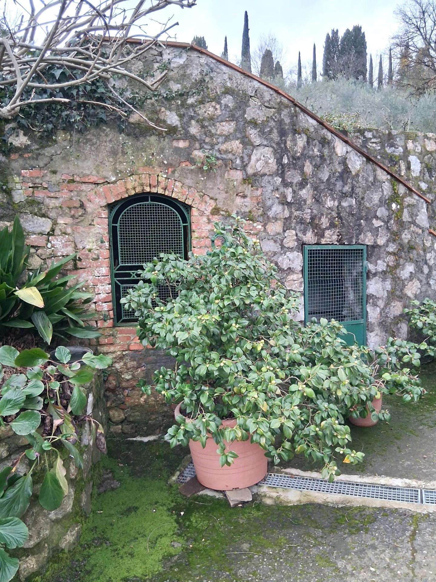  - foto 5