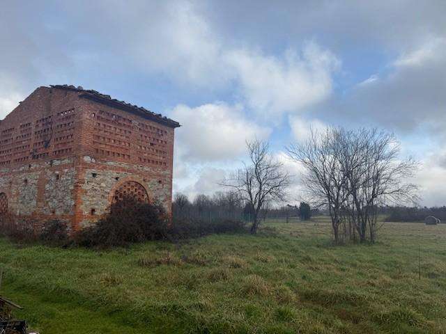 Azienda agricola Livornese, Santa Croce sull'Arno