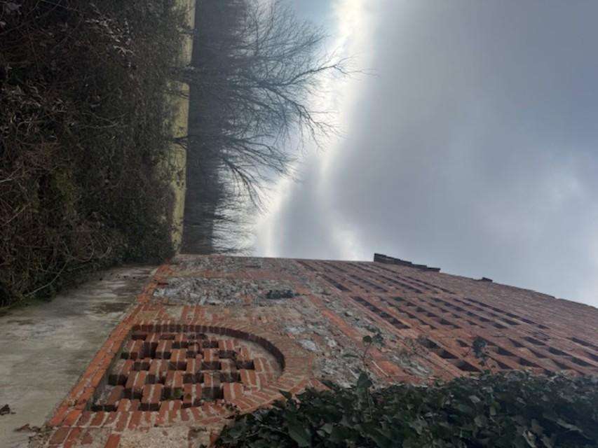  - foto 6